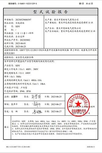 SDY试验报告