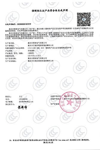 SDY试验报告