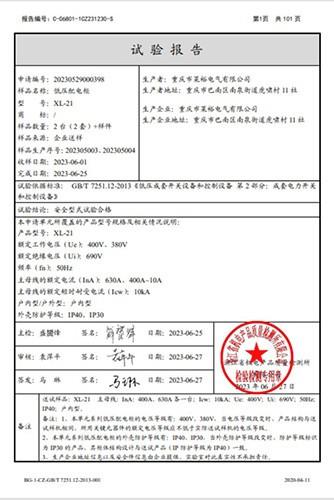 XL-21试验报告
